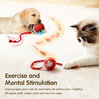 Interactive Rolling Cat Ball – Rechargeable Smart Toy for Pet Exercise