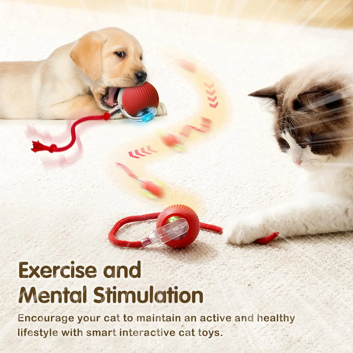 Interactive Rolling Cat Ball – Rechargeable Smart Toy for Pet Exercise