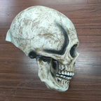 Full Head Skull Mask – Realistic Moveable Jaw for Halloween Cosplay