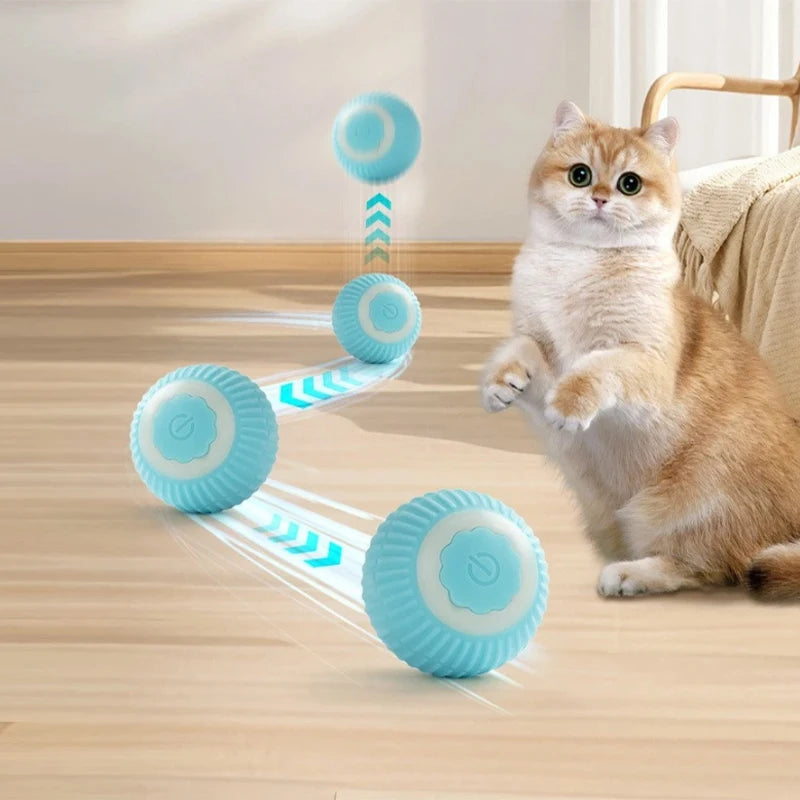 Interactive Automatic Cat Ball – Smart Motion Sensor Toy for Indoor Pet Play