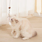 Interactive Cat Food Dispenser – Hanging Feather Toy for Kitten Enrichment