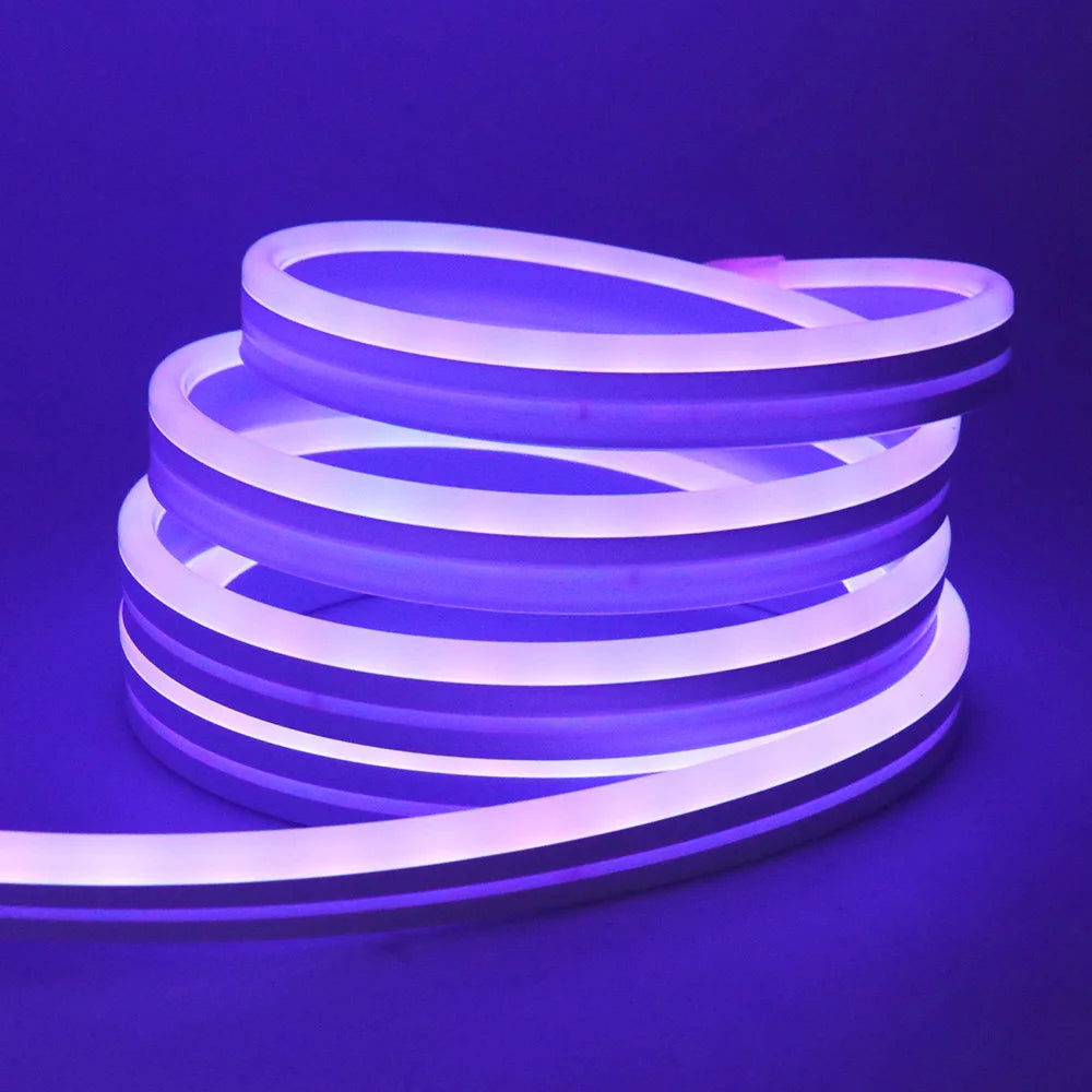 Bluetooth LED RGB Neon Strip – Waterproof Flexible Lights for Outdoor Pool Decor