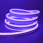 Bluetooth LED RGB Neon Strip – Waterproof Flexible Lights for Outdoor Pool Decor