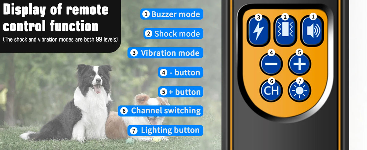 Waterproof Dog Training Collar – Remote E-Collar for Behavior Correction