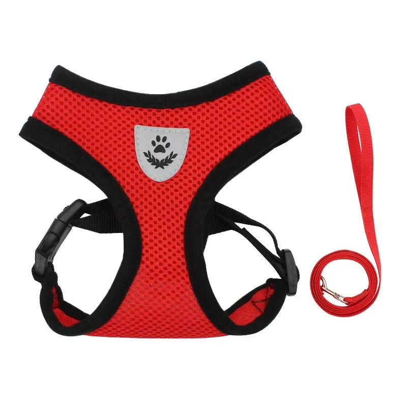 Adjustable Mesh Cat and Dog Harness with Leash – Breathable for Small Pets