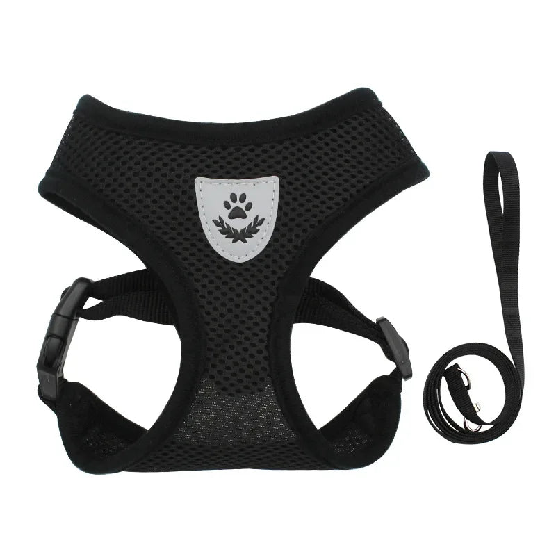 Adjustable Mesh Cat and Dog Harness with Leash – Breathable for Small Pets
