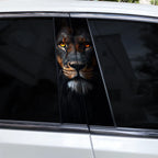 Lion Vinyl Car Decals – Waterproof B-Pillar Styling for Automotive Tuning