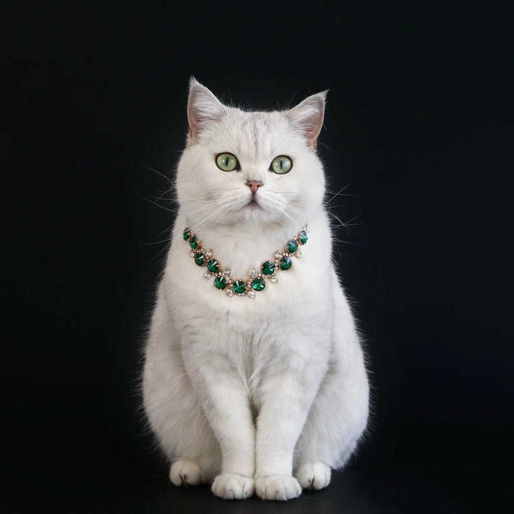 Rhinestone Pearl Pet Collar – Jeweled Dog and Cat Necklace for Weddings