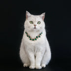 Rhinestone Pearl Pet Collar – Jeweled Dog and Cat Necklace for Weddings