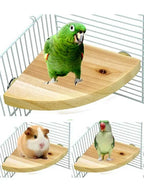 Wooden Fan-Shaped Bird Perch – Natural Stand for Parrot and Small Pets
