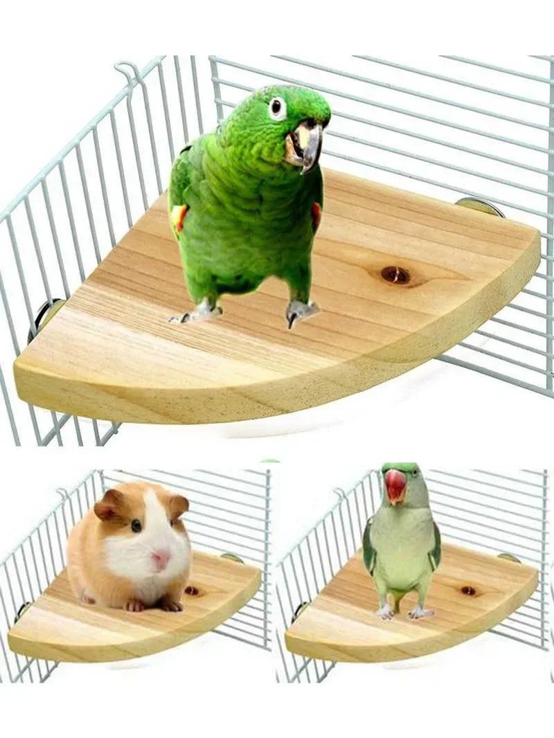 Wooden Fan-Shaped Bird Perch – Natural Stand for Parrot and Small Pets