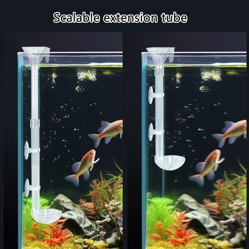 Acrylic Shrimp Feeding Tube – Transparent Dish Set for Aquarium Tanks