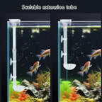 Acrylic Shrimp Feeding Tube – Transparent Dish Set for Aquarium Tanks