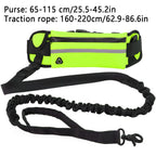 Hands-Free Dog Running Leash – Reflective Elastic Waist Belt for Outdoor Exercise