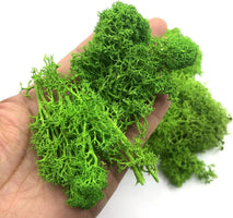 Artificial Moss Grass – 200g Green Fake Plant for DIY Garden Home Decor
