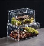 Acrylic Reptile Terrarium – Nano Arboreal Enclosure for Spiders and Insects