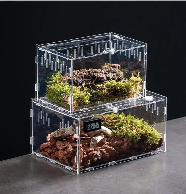 Acrylic Reptile Terrarium – Nano Arboreal Enclosure for Spiders and Insects