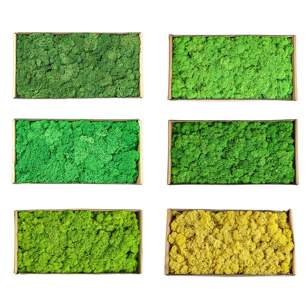 Artificial Moss Grass – 200g Green Fake Plant for DIY Garden Home Decor