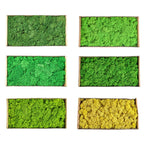 Artificial Moss Grass – 200g Green Fake Plant for DIY Garden Home Decor