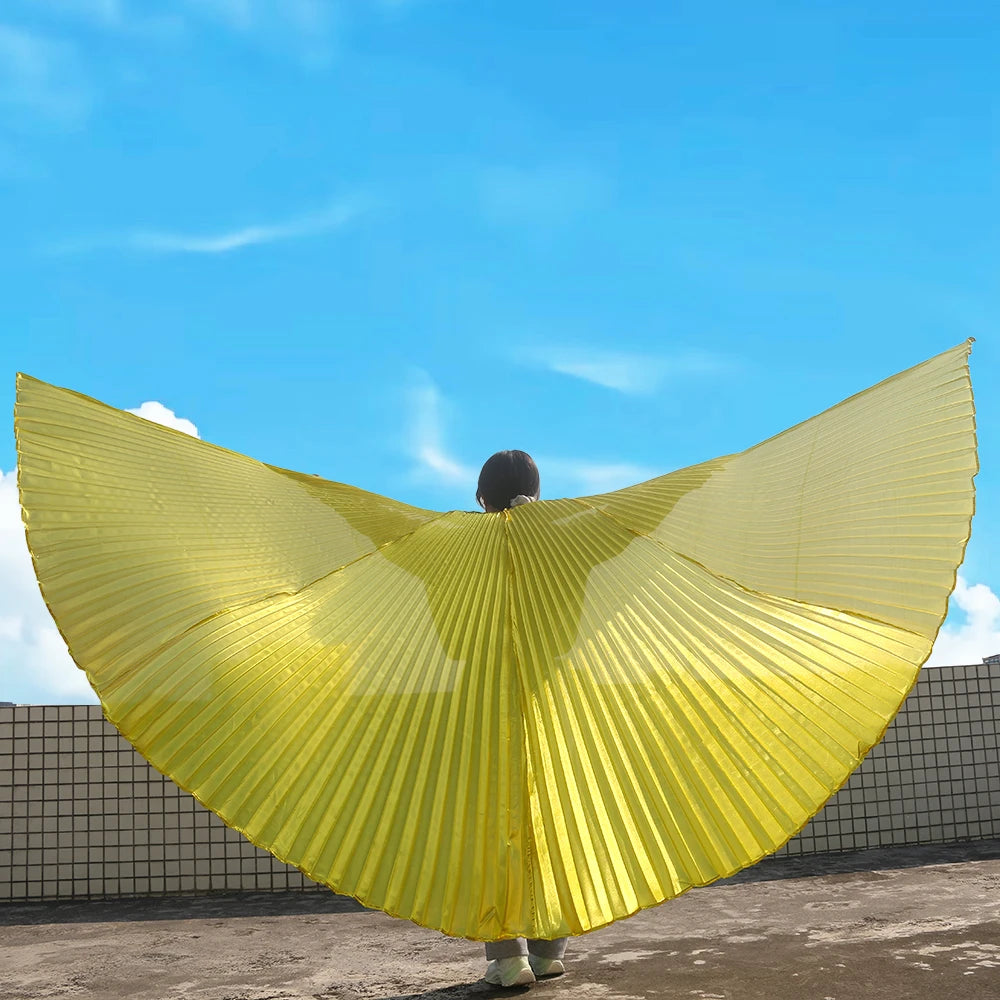 Person displaying large gold metallic pleated wings costume outdoors against blue sky