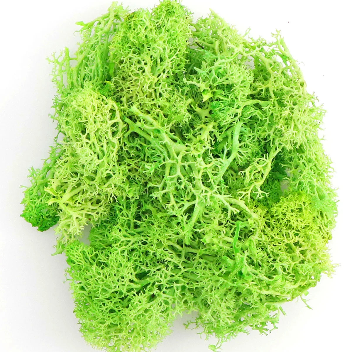 Artificial Moss Grass – 200g Green Fake Plant for DIY Garden Home Decor