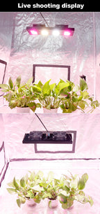 Full Spectrum LED Grow Light – Hydroponic Lamp for Indoor Plant Cultivation