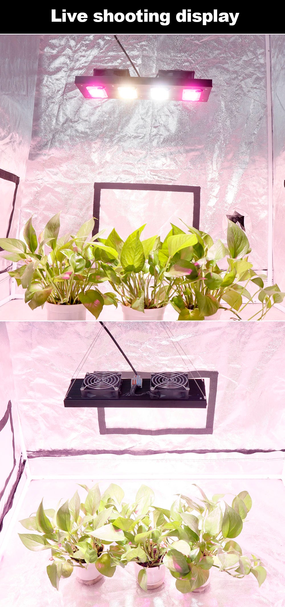 Full Spectrum LED Grow Light – Hydroponic Lamp for Indoor Plant Cultivation