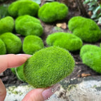 Artificial Foam Moss Stones – Decorative Green Rocks for Micro Landscapes