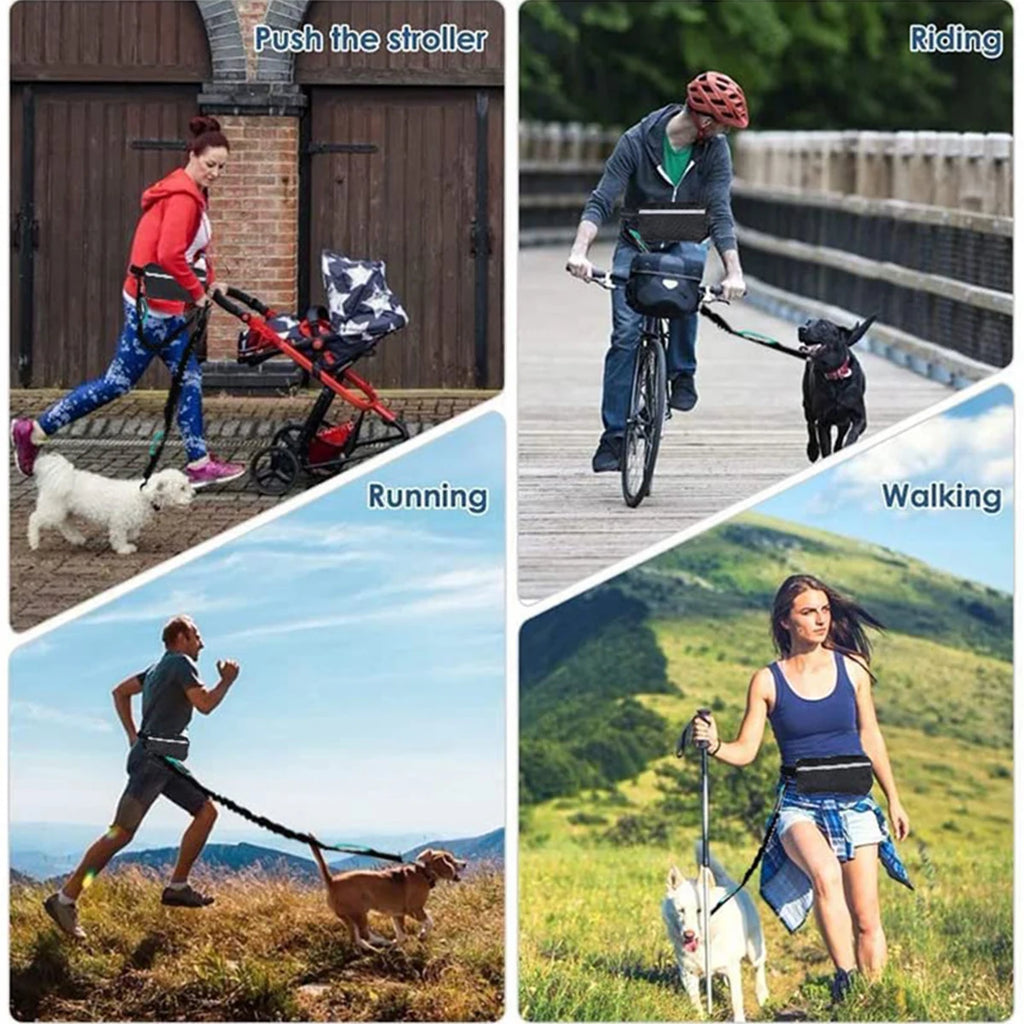 Hands-Free Dog Running Leash – Reflective Elastic Waist Belt for Outdoor Exercise