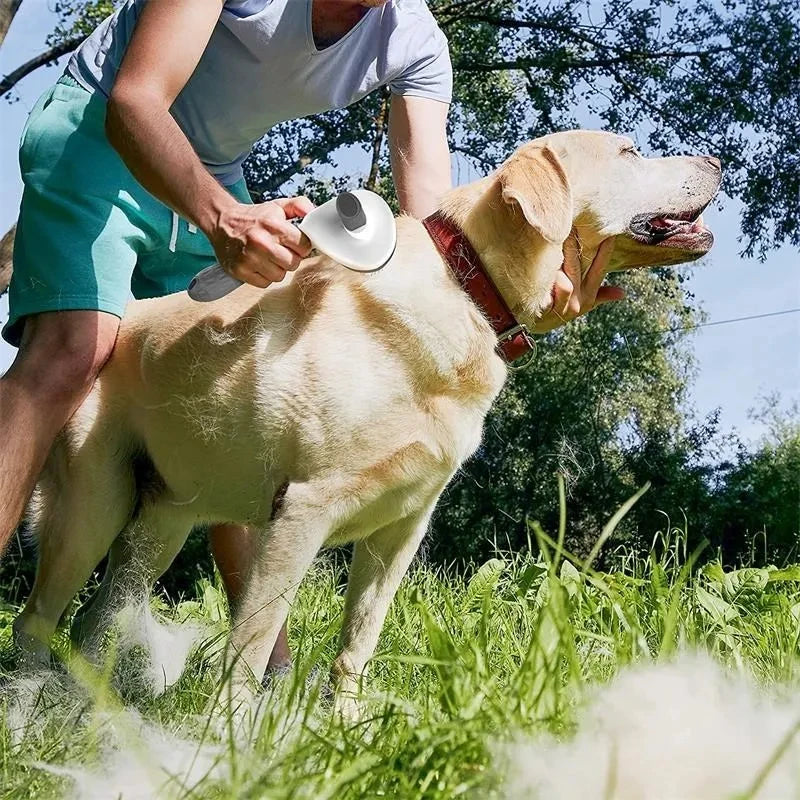 Self-Cleaning Pet Grooming Brush – Dematting Tool for Dogs and Cats