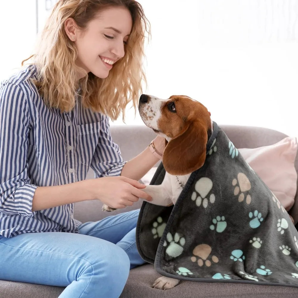 Soft Fluffy Pet Blanket – Double-sided Warm Mat for Dogs and Cats