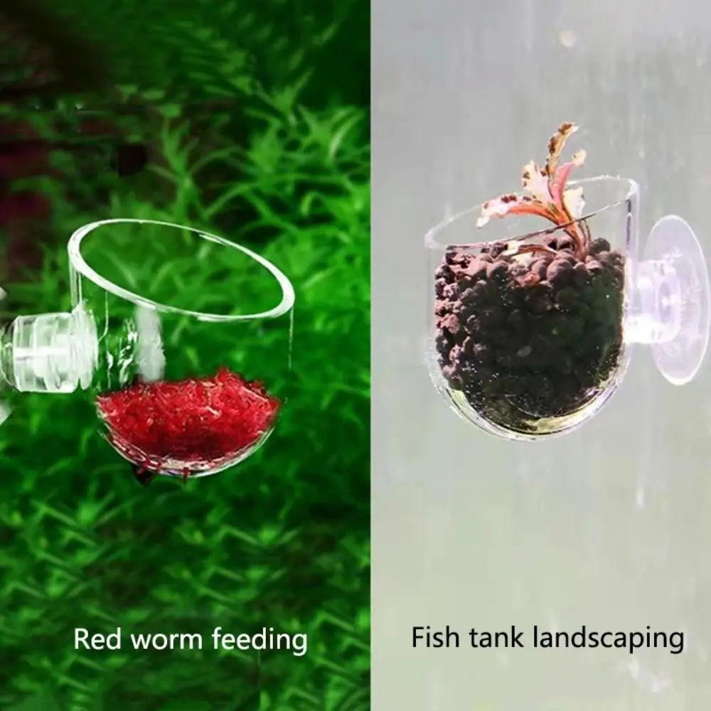 Plastic Worm Feeder Cone – Suction Cup Live Food Basket for Aquarium Fish Tanks