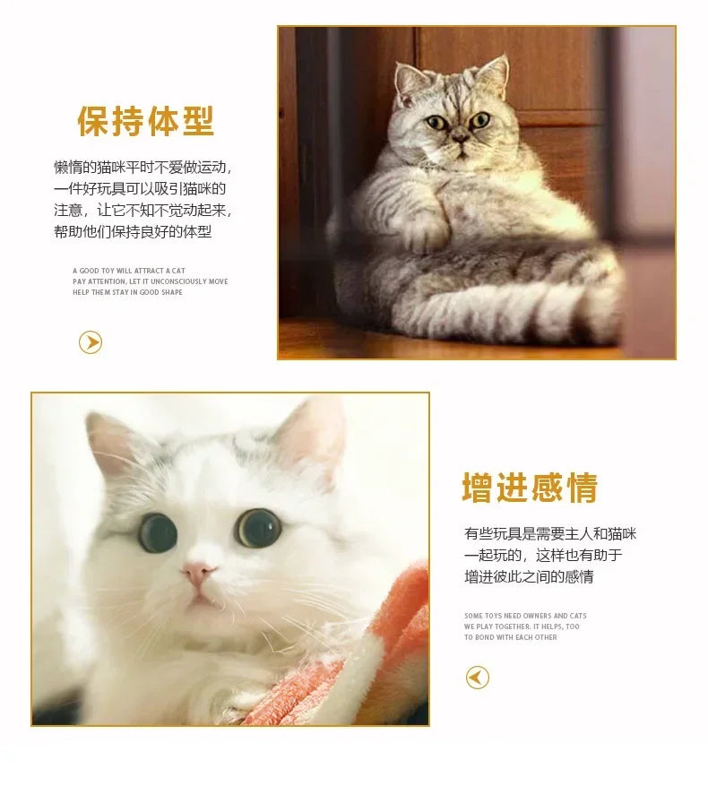Foldable Pet Tunnel – Interactive Cat Toy for Indoor Training and Play