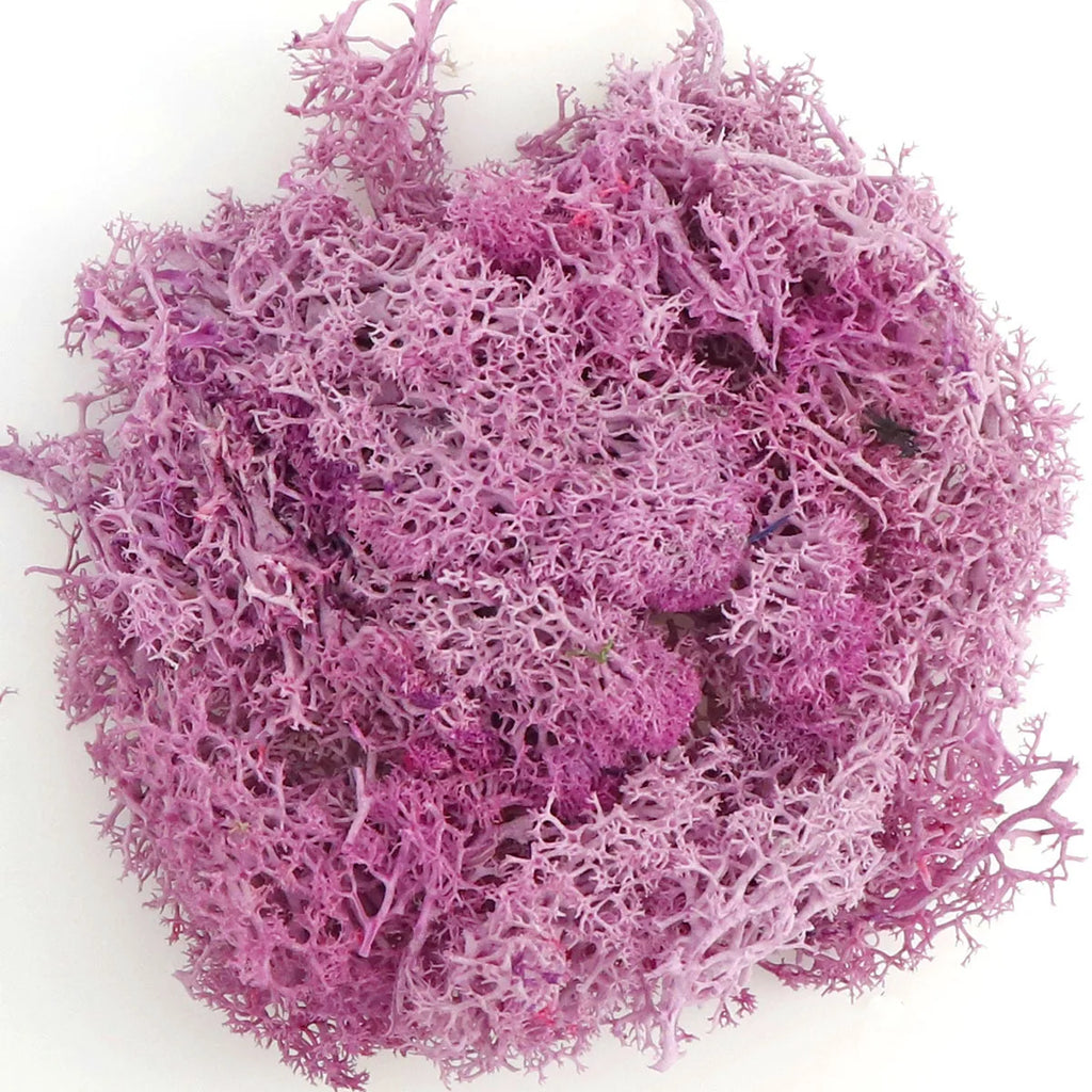 Artificial Moss Grass – 200g Green Fake Plant for DIY Garden Home Decor