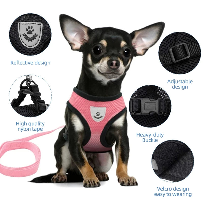 Adjustable Mesh Cat and Dog Harness with Leash – Breathable for Small Pets