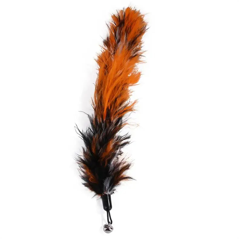 Interactive Cat Feather Toy Set – Retractable Wand for Indoor Pet Play