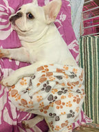 Thickened Fleece Pet Blanket – Warm Footprint Mat for Small to Large Dogs Cats