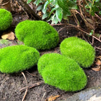 Artificial Foam Moss Stones – Decorative Green Rocks for Micro Landscapes