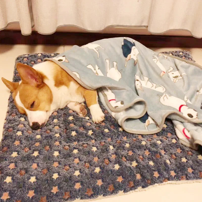 Washable Plush Pet Sofa Bed – Soft Winter Sleeping Mat for Small Large Dogs