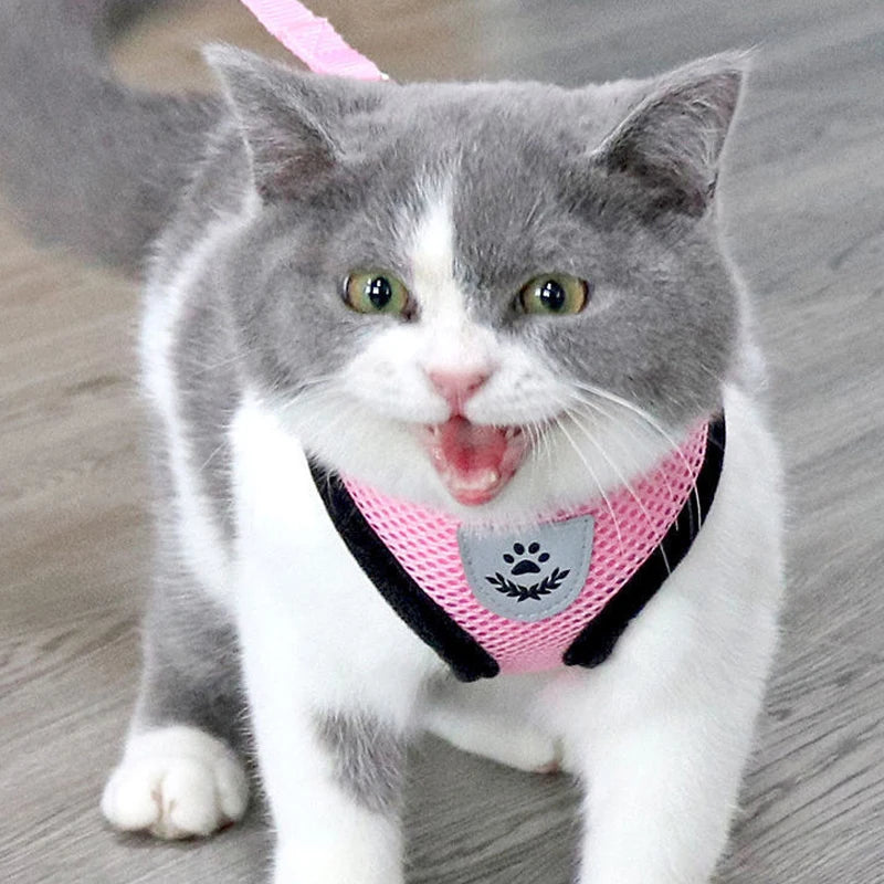 Adjustable Mesh Cat and Dog Harness with Leash – Breathable for Small Pets
