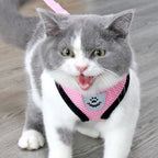 Adjustable Mesh Cat and Dog Harness with Leash – Breathable for Small Pets
