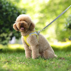 Adjustable Puppy Harness Vest – Comfortable Pet Supplies for Small Dogs