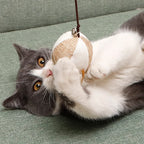 Colorful Feather Wand Toy – Interactive Wooden Rod for Cat Exercise