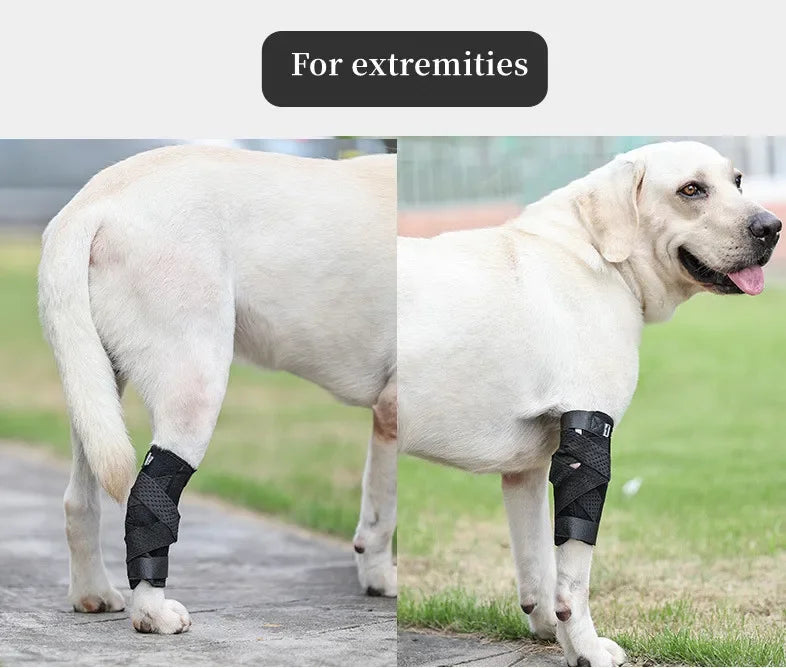Dog Leg Joint Brace – Orthopedic Support for Arthritis Recovery