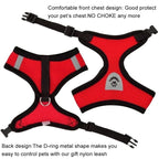 Adjustable Mesh Cat and Dog Harness with Leash – Breathable for Small Pets