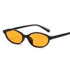 Oval Sunglasses – Small Retro Fashion Shades for Women and Men