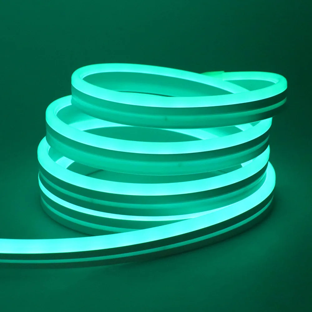 Bluetooth LED RGB Neon Strip – Waterproof Flexible Lights for Outdoor Pool Decor