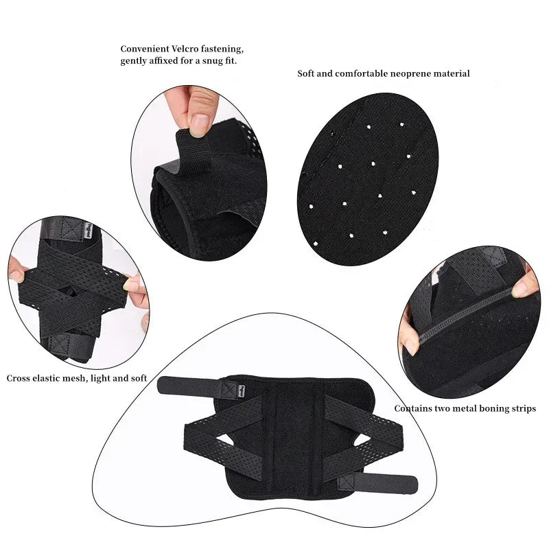 Dog Leg Joint Brace – Orthopedic Support for Arthritis Recovery