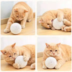 Silent Wool Cat Ball – Durable Interactive Toy for Boredom Relief and Chasing