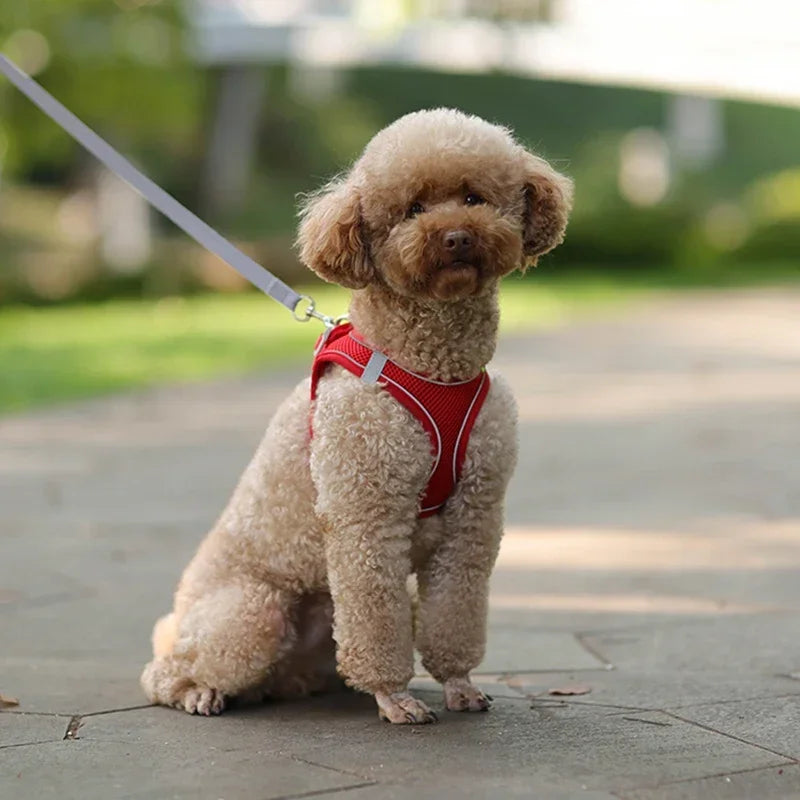 Adjustable Puppy Harness Vest – Comfortable Pet Supplies for Small Dogs